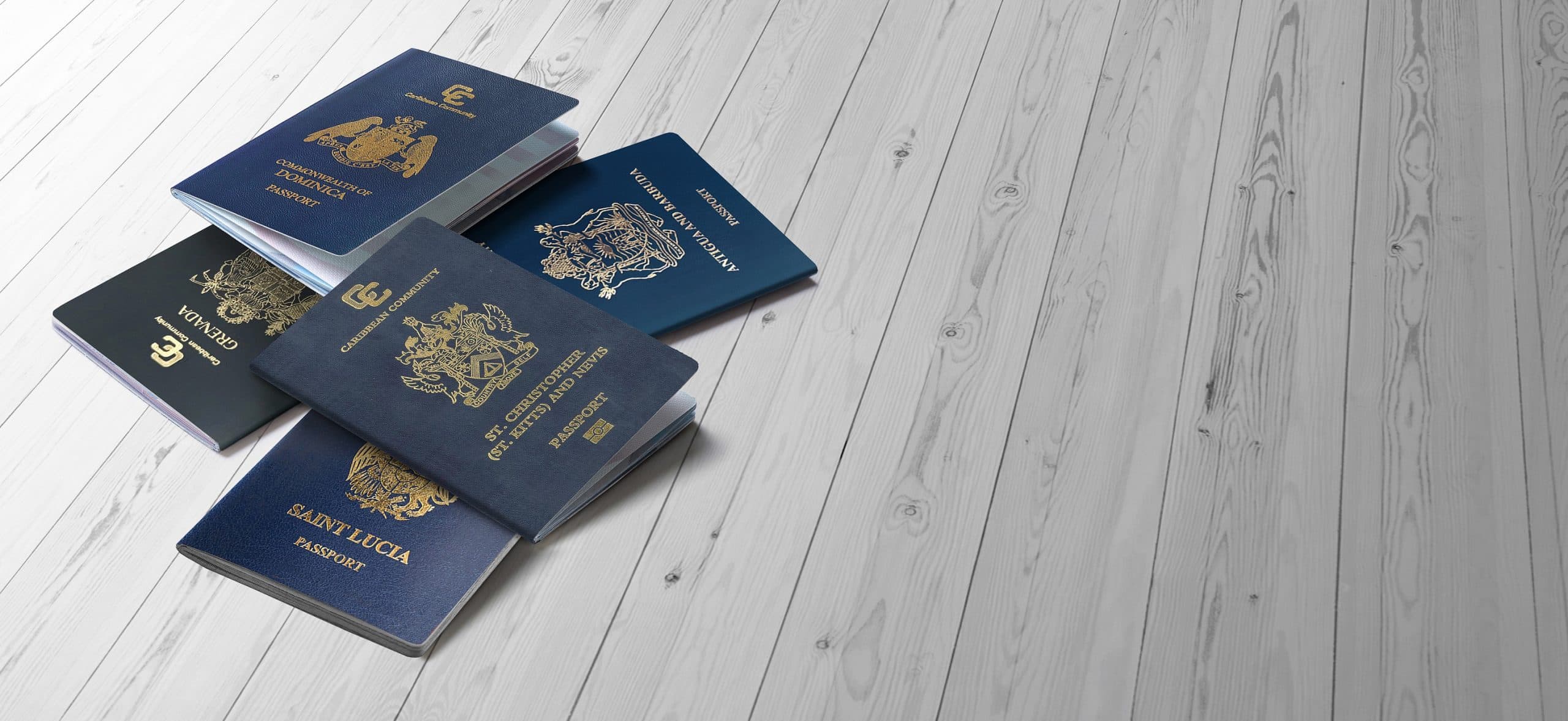 Citizenship by investment consultants reviewing applications